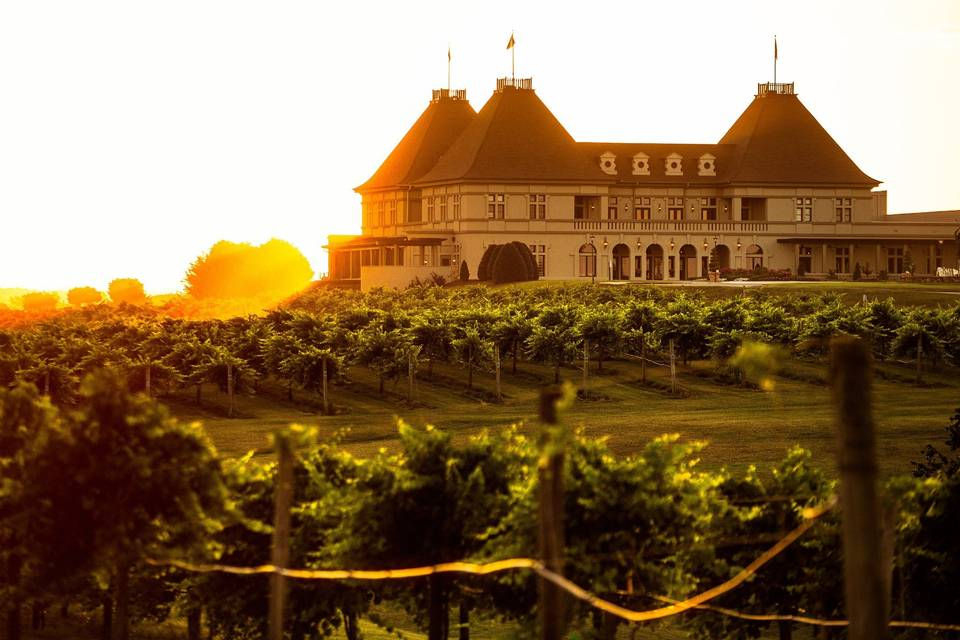 Chateau Elan Winery and Vineyards