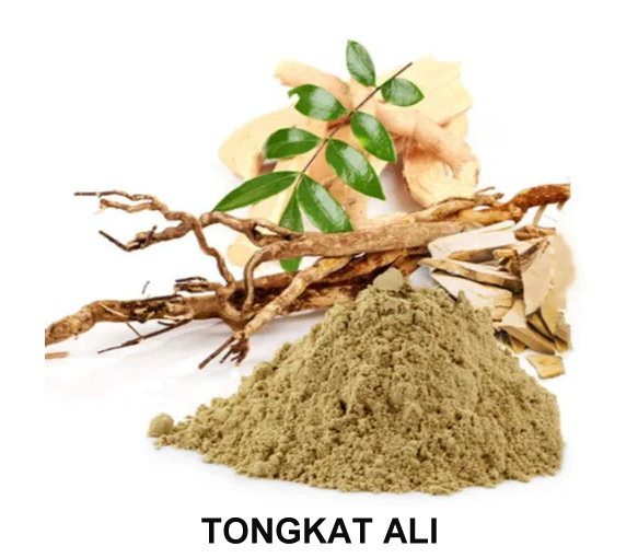 Tongkat Ali 1oz