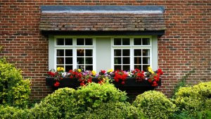 inherited a house with flowers