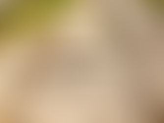 Réagir face à l'urgence : Notre rôle dans les récents événements du Valais
