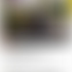 Queensland's Top 20 Entrepreneurs under 40 yrs.