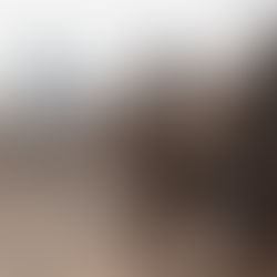 L'Europa non è MAI uscita dalla guerra