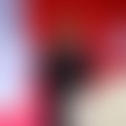 Francia e Islam: storia di un rapporto complicato tra laÏcité e biopolitica