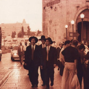 La Simmetria dei Desideri (di E. Nevo)