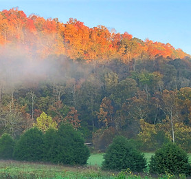 Well Being Retreat Center Hills in Fall