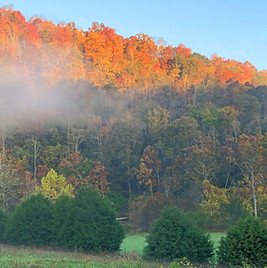 Fall Colors by Don_edited.jpg