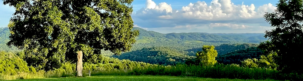Top of the Hill