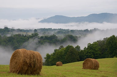Photo of Top of Hill at Well Being Retreat Center, Tazewell, TN