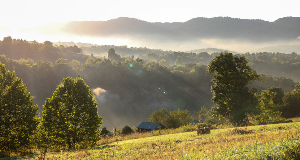 Rolling Hills and Tiny Houses at Well Being Retreat Center in Tazewell, TN