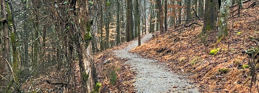 Trail_edited.jpg