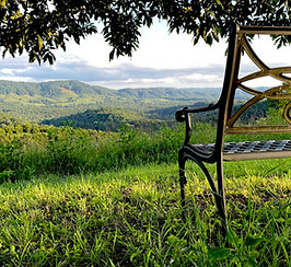 Bench at the Top of the Hill at Well Being Retreat Center