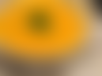 カボチャと豆腐のポタージュ