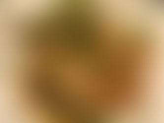 豚肉とピーマンの中華炒め