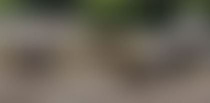 Sweet & Sour Chicken (Cheyenne's Version) & Stray Gathering