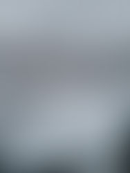 My new column & Night Calver’s Special!