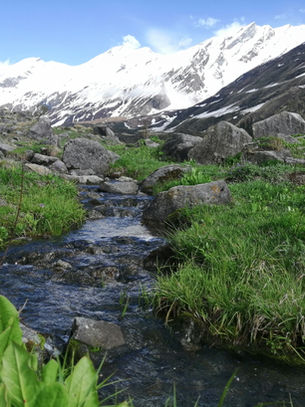 How to do Bali Pass Trek?
