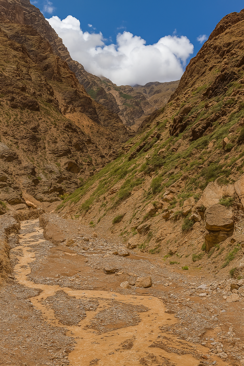 Dhauliganga River