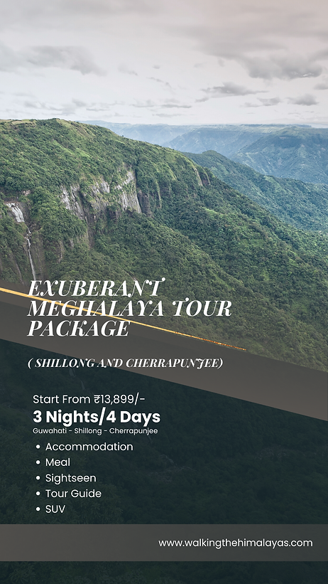 WIX MEGHALAYA (2).png