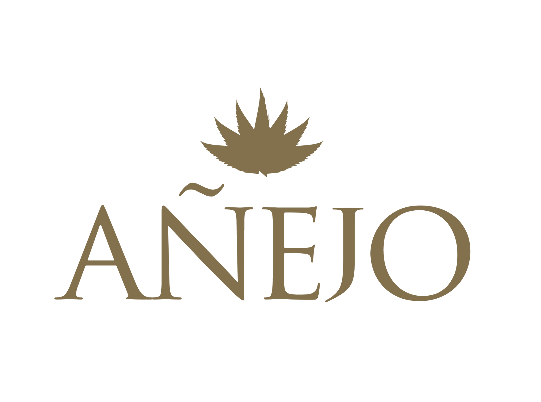 www.anejonyc.com