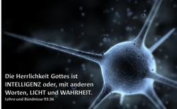intelligenz3.png