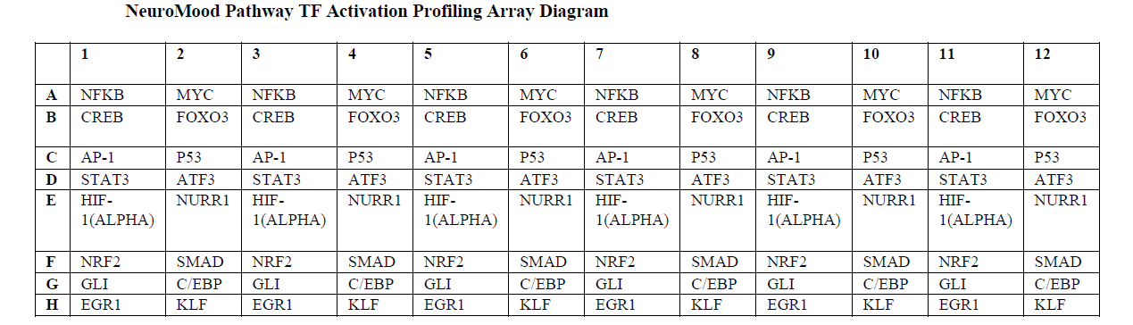 NeuroMood Stress Pathway TF Activation Profiling Pathway