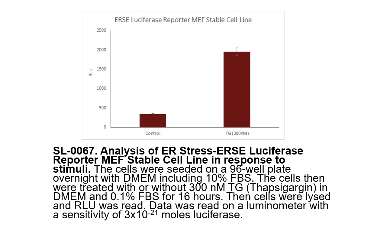 ER Stress-ERSE Luciferase Reporter MEF Stable Cell Line (2 vials)