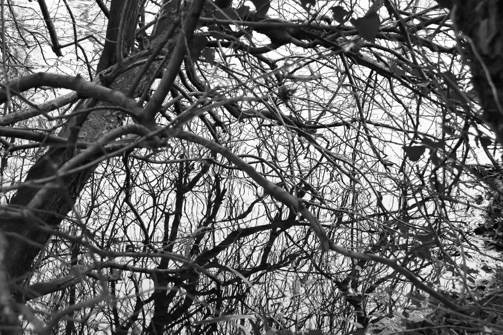IMG_8392 copy