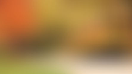 Music Therapy in Schools