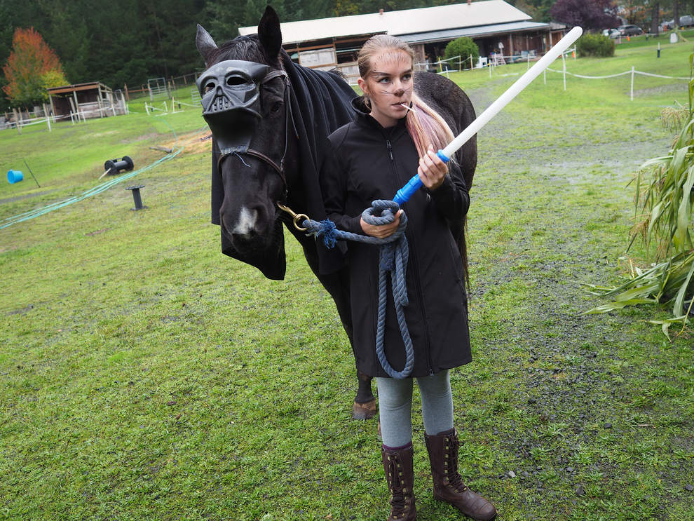 Volunteer, Morgan Williams, 14, of Eugene, looks after Diamond,