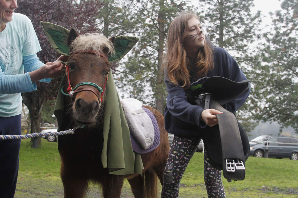 Romeo, a Shetland pony, is dressed by Tammy McNally, left, and Dahlia Reckers-Gatlin, 13