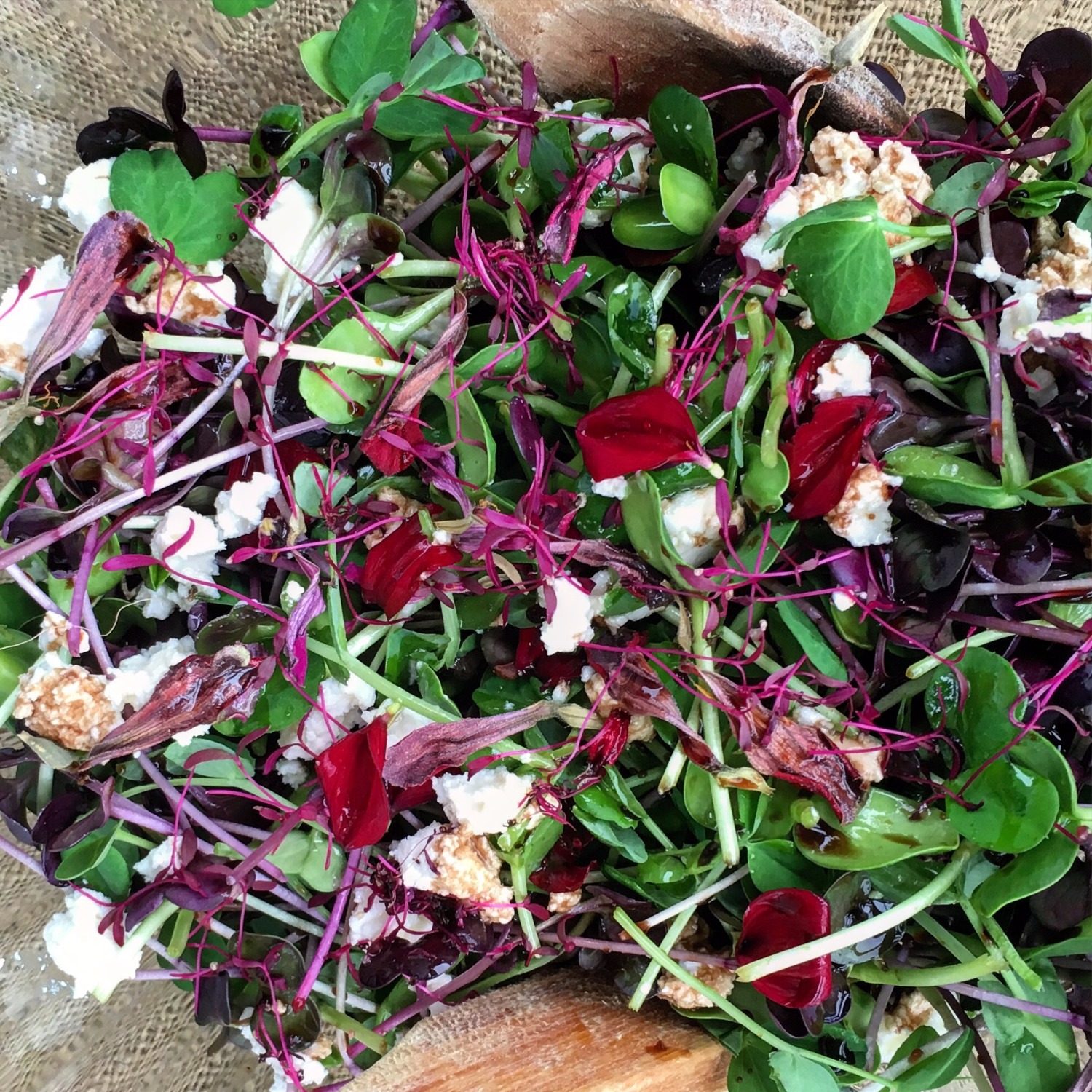 HERBS, MICROGREENS & EDIBLE FLOWERS/SPROUT HOUSE FARMS/GEELONG