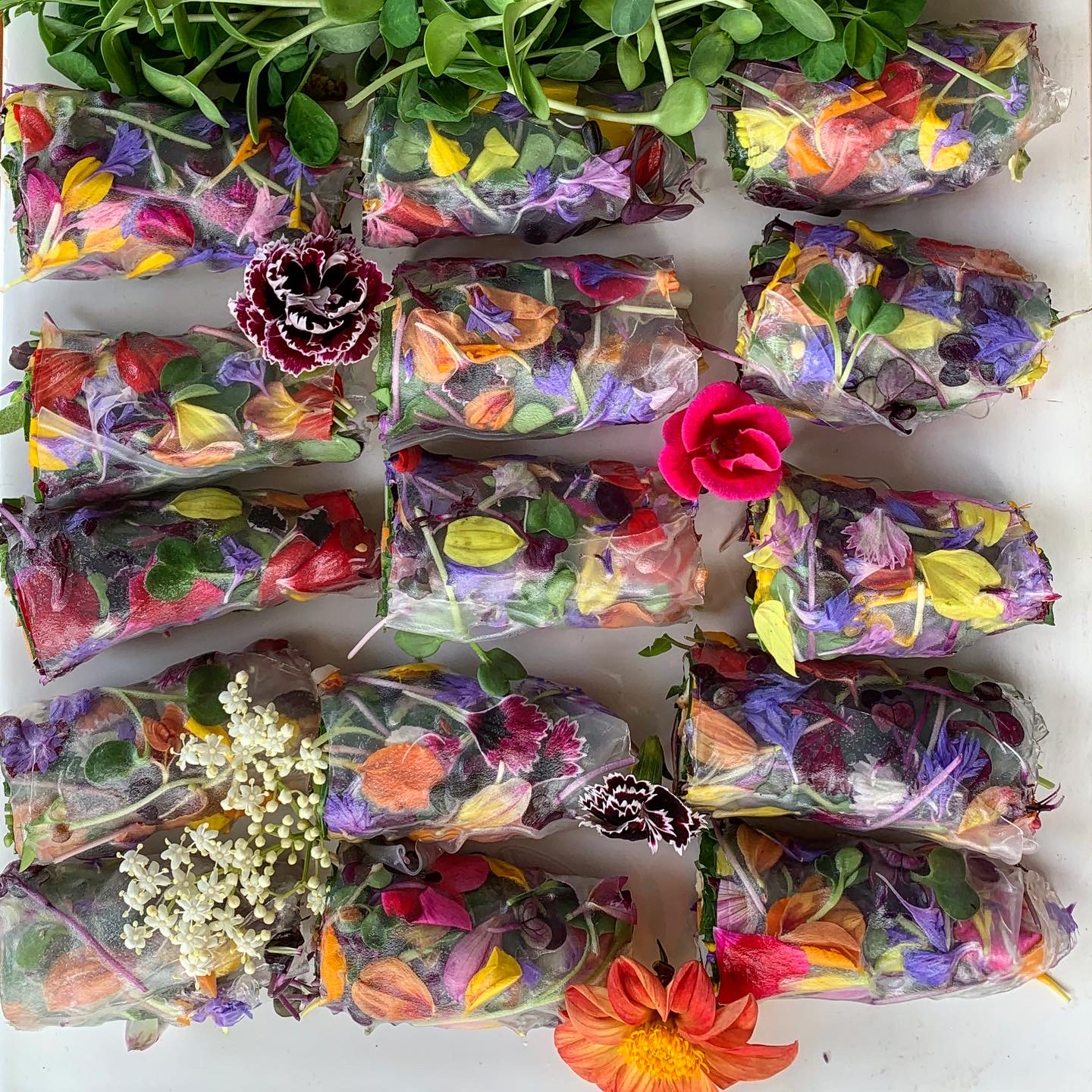 HERBS, MICROGREENS & EDIBLE FLOWERS/SPROUT HOUSE FARMS/GEELONG