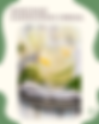 Elderflower Cordial Recipe 