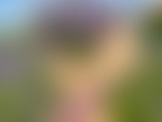 Чи потрібно ставити лаванду в воду?