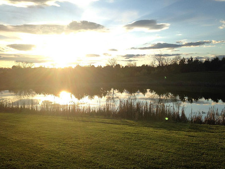 WHY I LOVE VIRGINIA (& OTHER REASONS)
