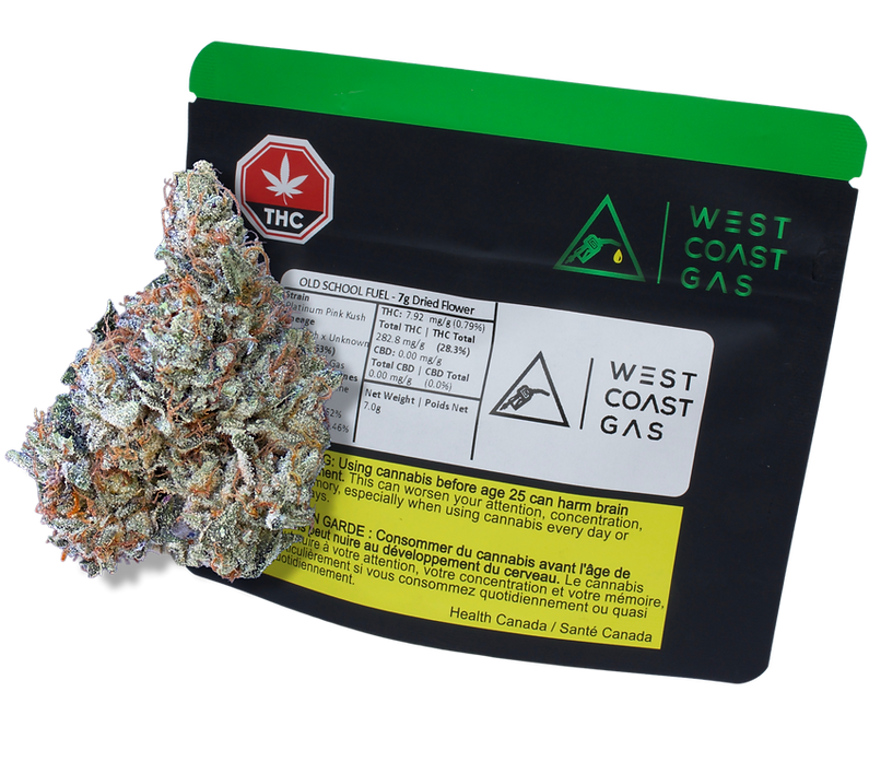 WEBSITE DRAFT (17).png