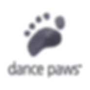 logo_dp