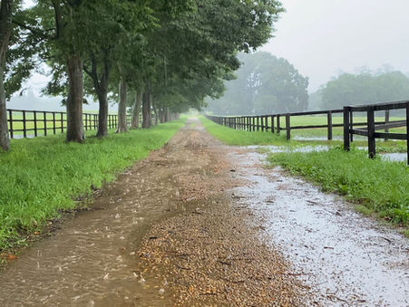 この雨はしばらく続きそうです