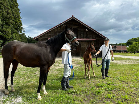新しい仲間が増えました