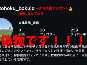 ⚠️新たな東北牧場の偽Instagramアカウントにご注意ください