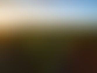 ヤーコン茶を作りました🍵