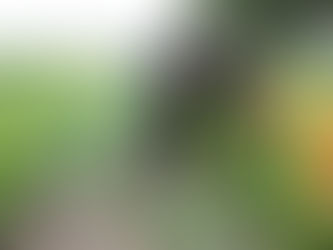 青森の厳しい冬を越えて。採れたての玉ねぎと、手作りのらっきょう漬をホテルコンチネンタル府中へお届けします!