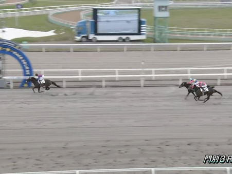 コンチトーホク初勝利