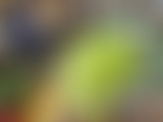 本日の出荷作業