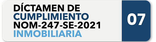 Sin título-2_Mesa de trabajo 1 copia 10.png