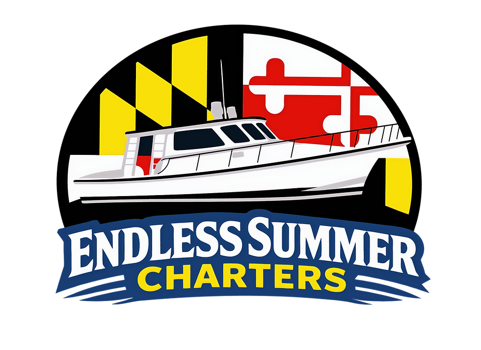 EndlessSummer_5th_Round-07-03_edited.png