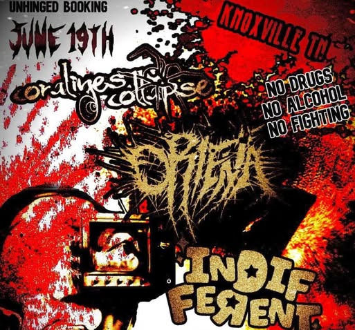 Don't Look Down Tour at Tyson Skatepark Knoxville, TN