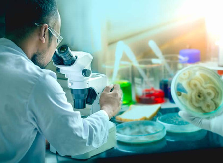 Waarschuwing gezaghebbend medisch tijdschrift: Ook schimmels worden resistent tegen onze medicatie!