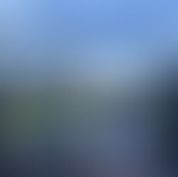 Meet Memorial Park... Or Not