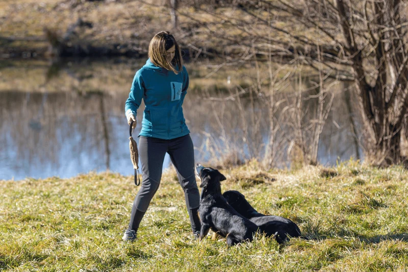 Impulskontrolle beim Hund